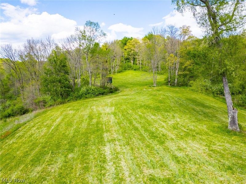 69800 Skull Fork Rd , Freeport, OH 43973 Photo 17