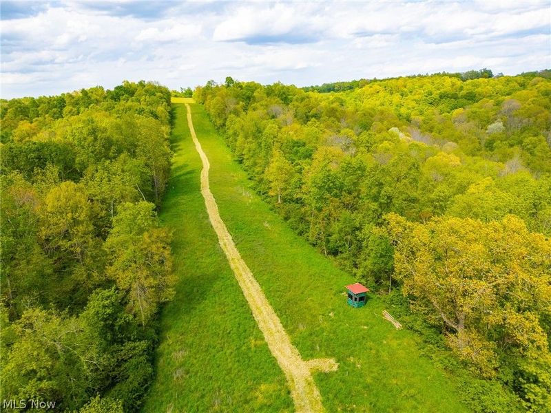 69800 Skull Fork Rd, Freeport, OH 43973 Photo 23