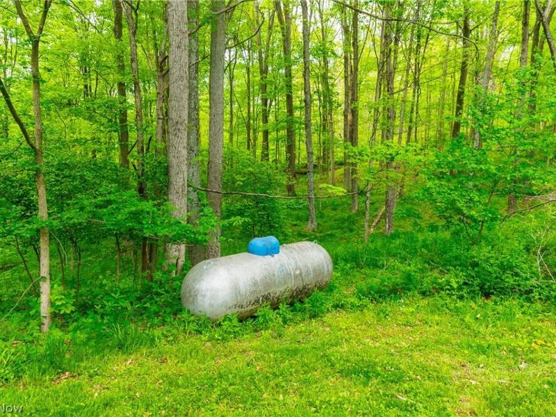 69800 Skull Fork Rd, Freeport, OH 43973 Photo 27
