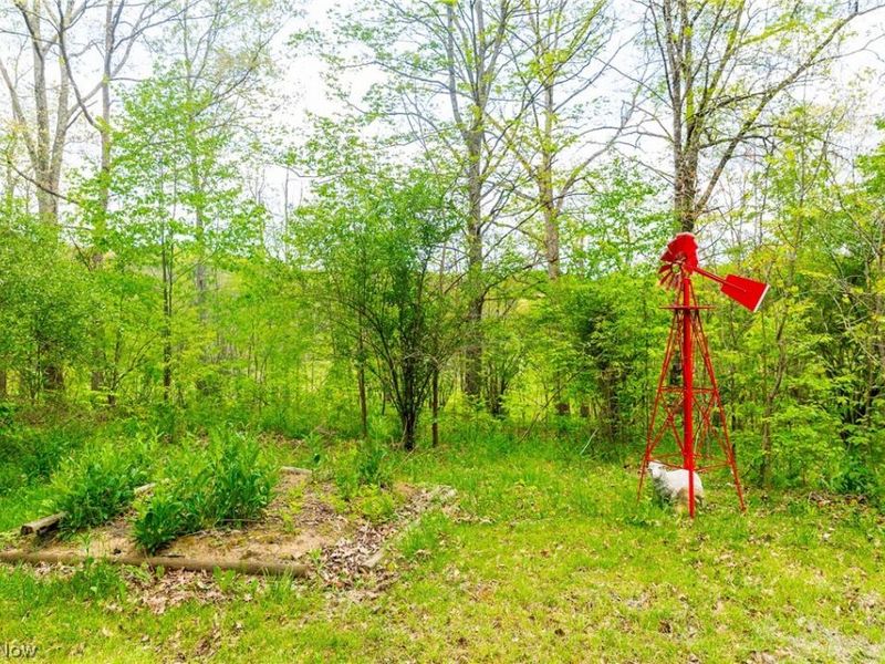 69800 Skull Fork Rd, Freeport, OH 43973 Photo 30