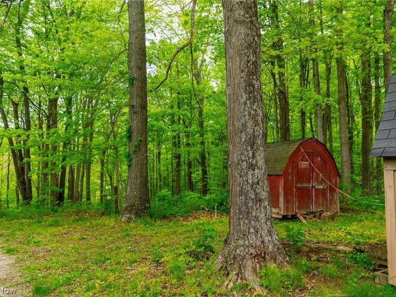 69800 Skull Fork Rd , Freeport, OH 43973 Photo 30
