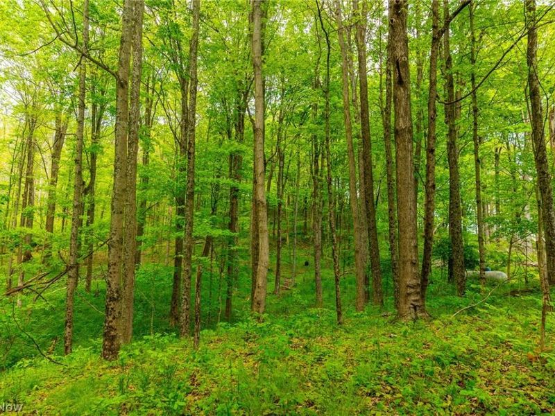 69800 Skull Fork Rd , Freeport, OH 43973 Photo 31