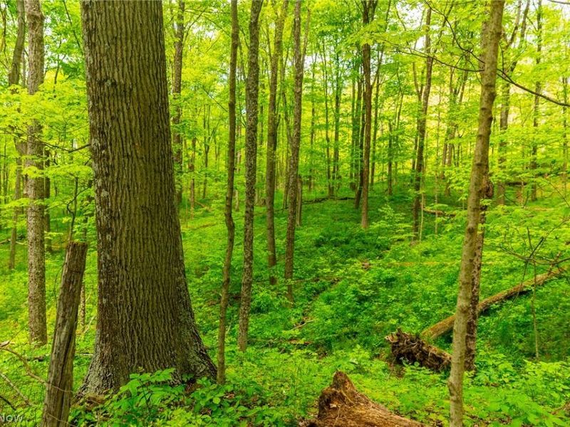 69800 Skull Fork Rd, Freeport, OH 43973 Photo 33