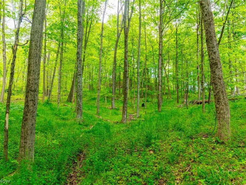 69800 Skull Fork Rd, Freeport, OH 43973 Photo 35