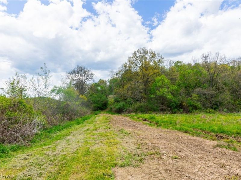 69800 Skull Fork Rd , Freeport, OH 43973 Photo 37
