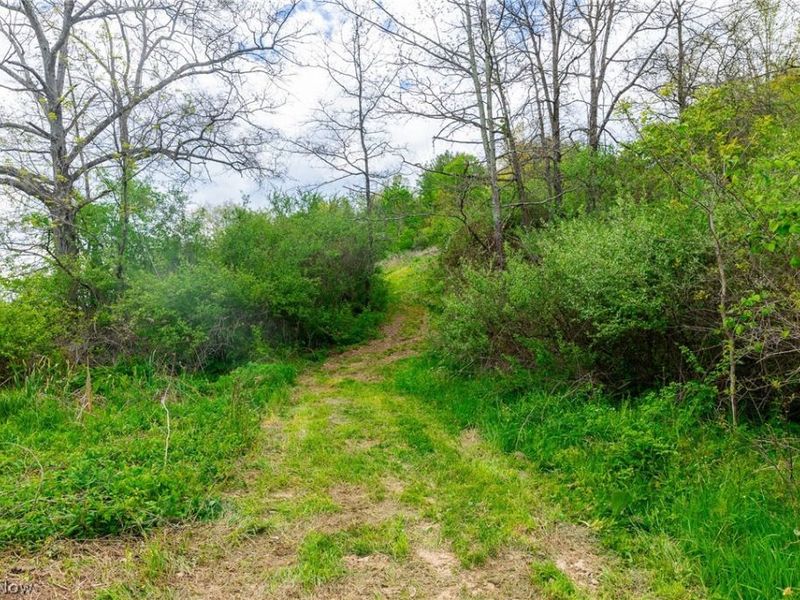 69800 Skull Fork Rd, Freeport, OH 43973 Photo 40