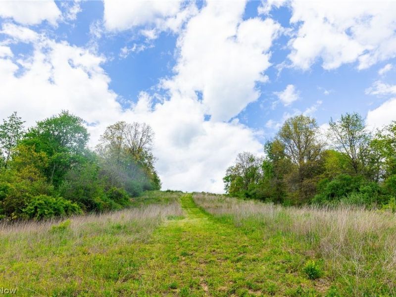 69800 Skull Fork Rd , Freeport, OH 43973 Photo 40