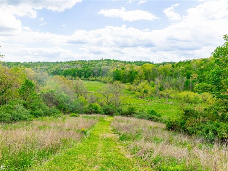 69800 Skull Fork Rd, Freeport, OH 43973 Photo 41