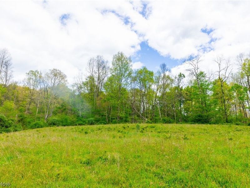 69800 Skull Fork Rd , Freeport, OH 43973 Photo 45