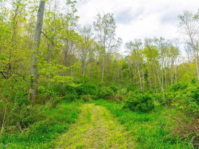69800 Skull Fork Rd, Freeport, OH 43973 Photo 46