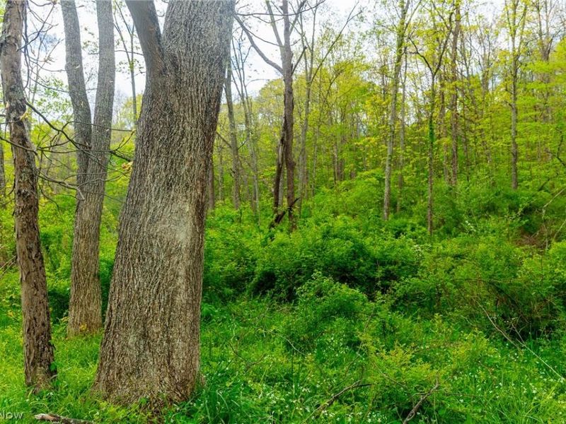69800 Skull Fork Rd , Freeport, OH 43973 Photo 47