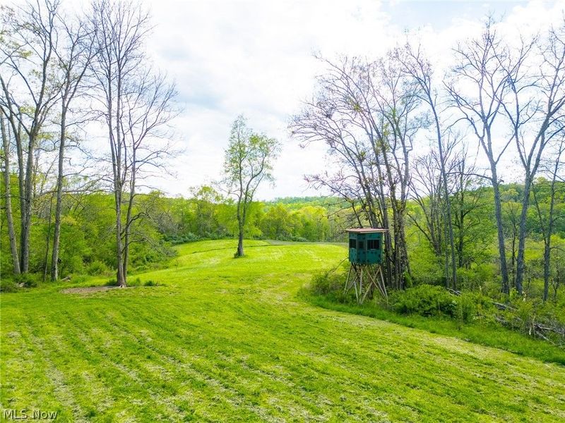 69800 Skull Fork Rd , Freeport, OH 43973 Photo 5