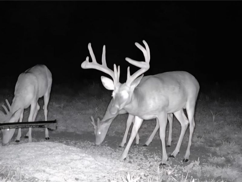 69800 Skull Fork Rd , Freeport, OH 43973 Photo 6