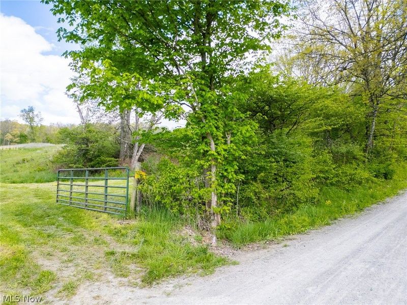 69800 Skull Fork Rd, Freeport, OH 43973 Photo 9