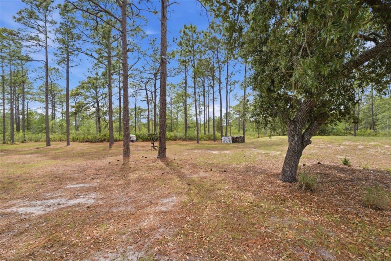 18043 Palmdale Road , Weeki Wachee, FL 34614 Photo