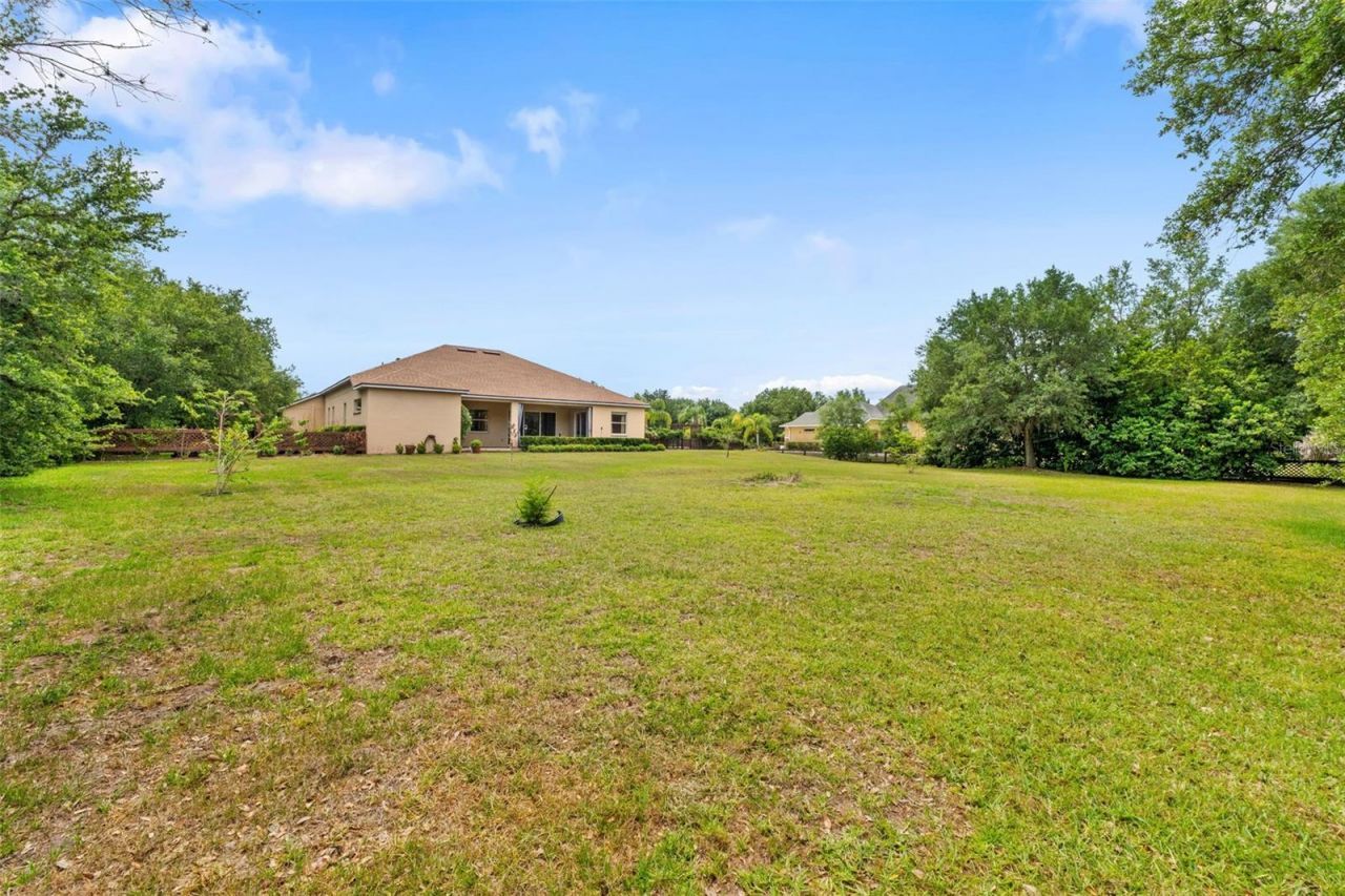 14705 Amber Sweet Lane, Wimauma, FL 33598 Photo