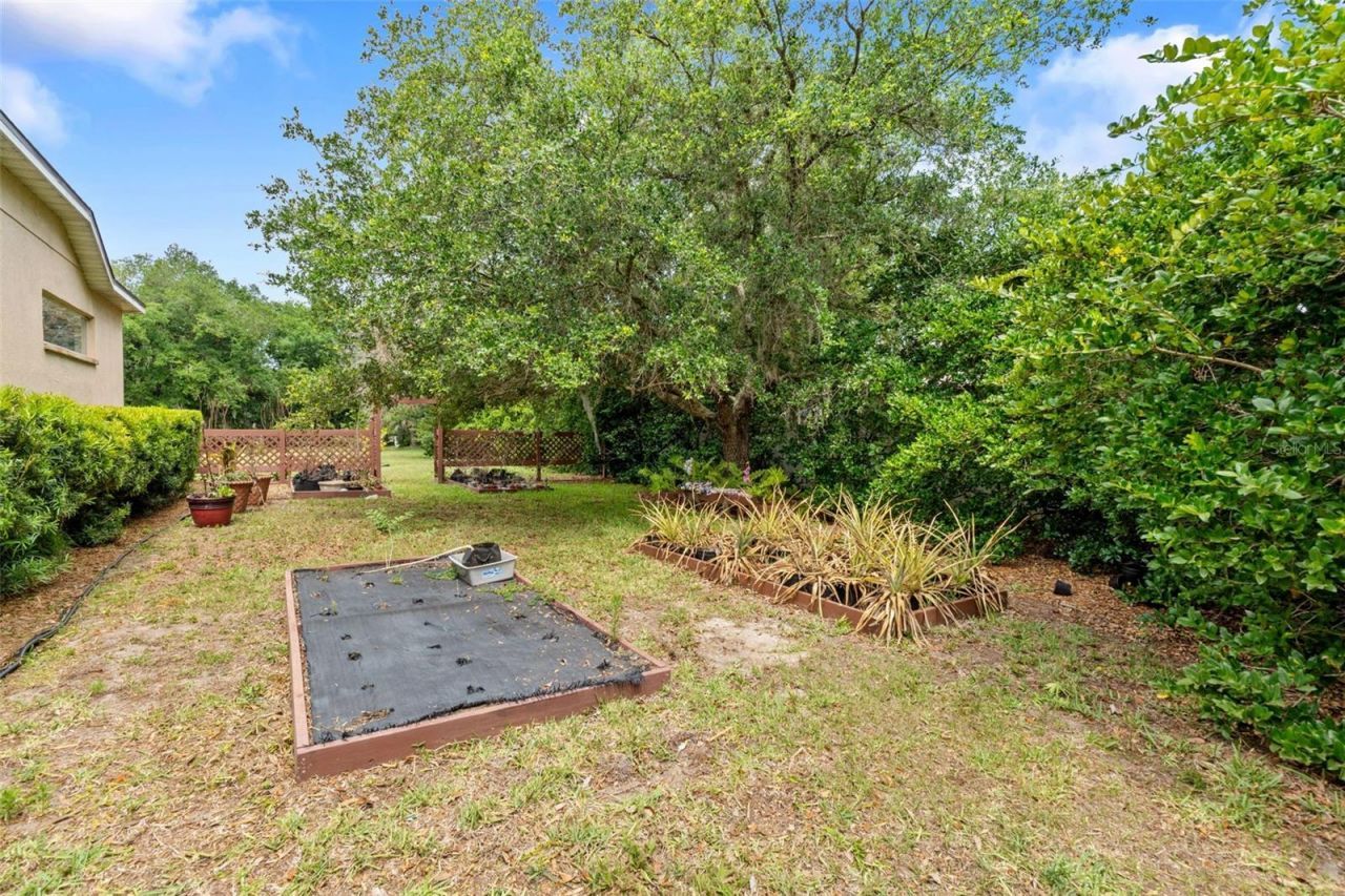 14705 Amber Sweet Lane, Wimauma, FL 33598 Photo