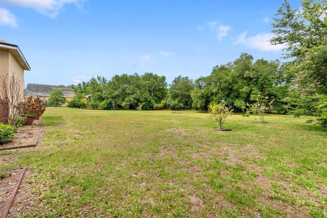 14705 Amber Sweet Lane, Wimauma, FL 33598 Photo