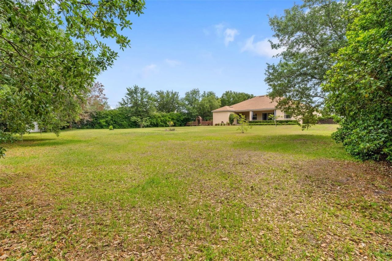 14705 Amber Sweet Lane, Wimauma, FL 33598 Photo