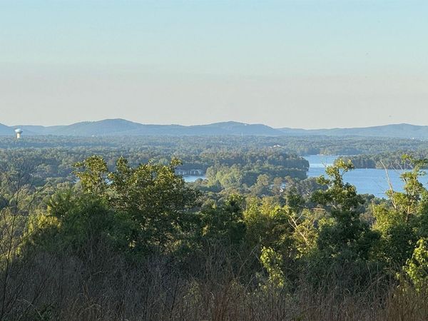 Lot 3A E RIANTE Trail, Hot Springs, AR 71913