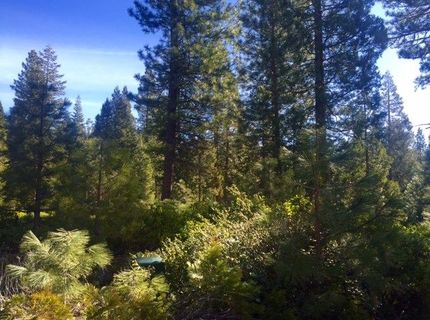 50 Fox Peak Drive, Lake Almanor, CA 96137 Photo