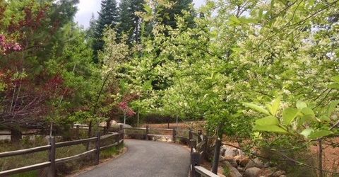 50 Fox Peak Drive, Lake Almanor, CA 96137 Photo
