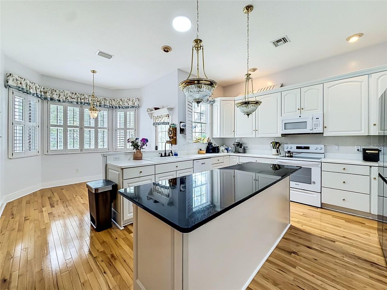 34122 Park Lane, Leesburg, FL 34788 Photo