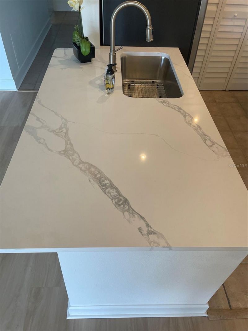 706 115th, Unit 2401, Saint Petersburg, FL 33716 Photo