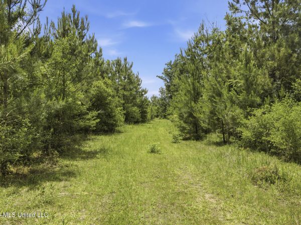 2705 Pilgrims Rest Road, Magnolia, MS 39652