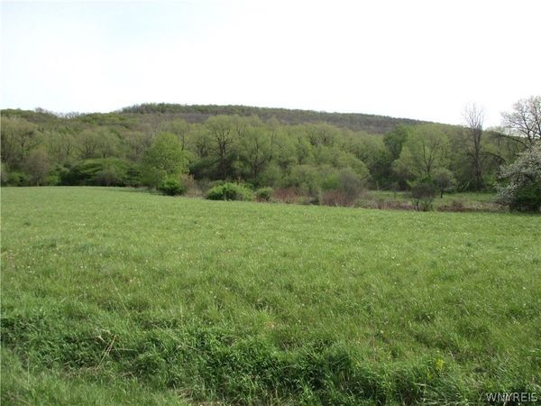 Rt-243 , Rushford, NY 14777