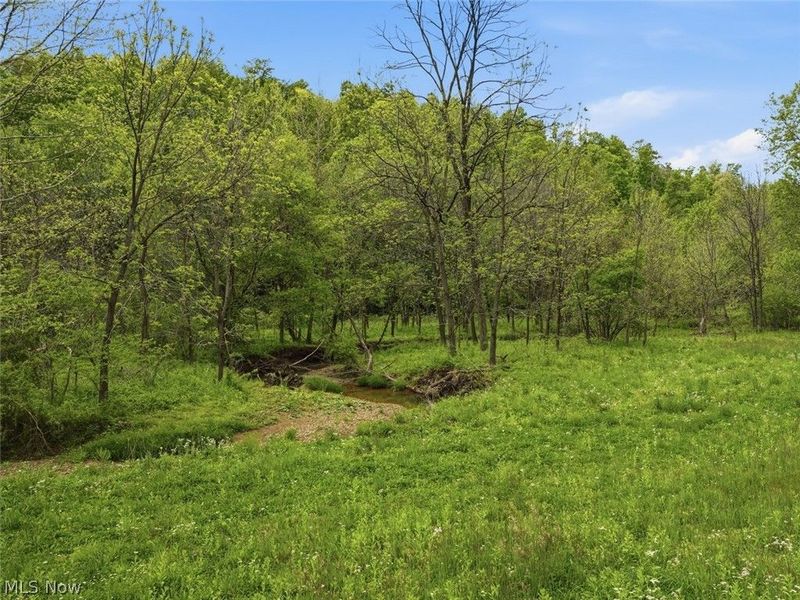0 Pratts Run Road, Clarington, OH 43793 Photo 13