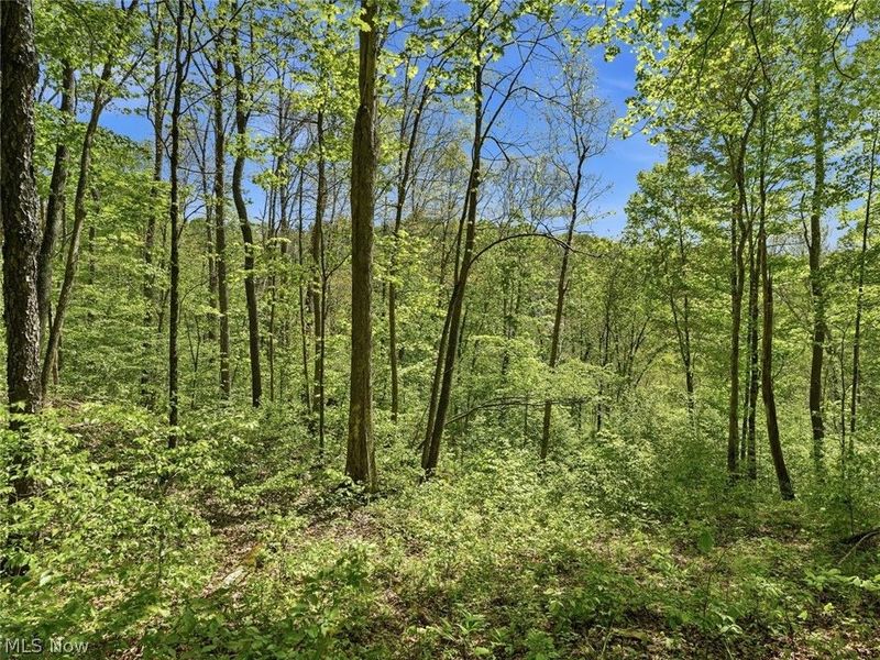 0 Pratts Run Road, Clarington, OH 43793 Photo 16