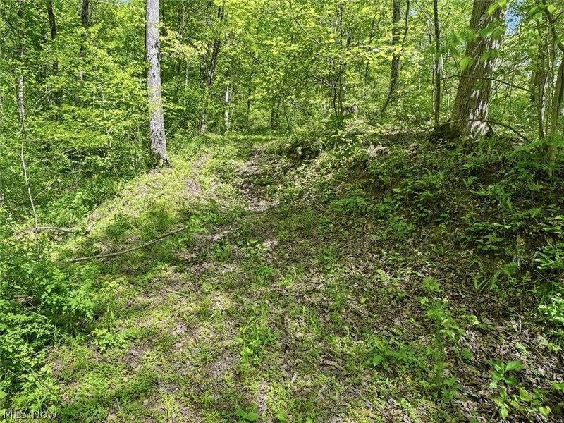 0 Pratts Run Road, Clarington, OH 43793 Photo 19
