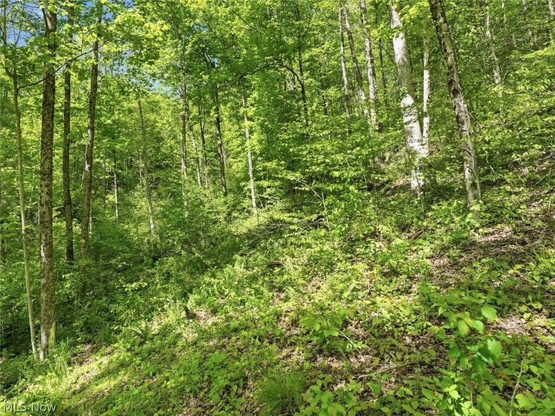 0 Pratts Run Road, Clarington, OH 43793 Photo 21