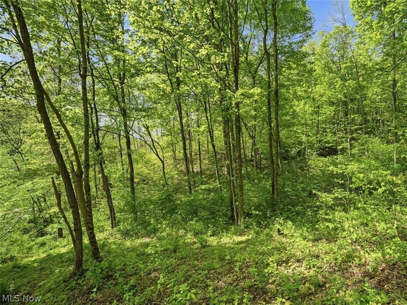 0 Pratts Run Road, Clarington, OH 43793 Photo 23
