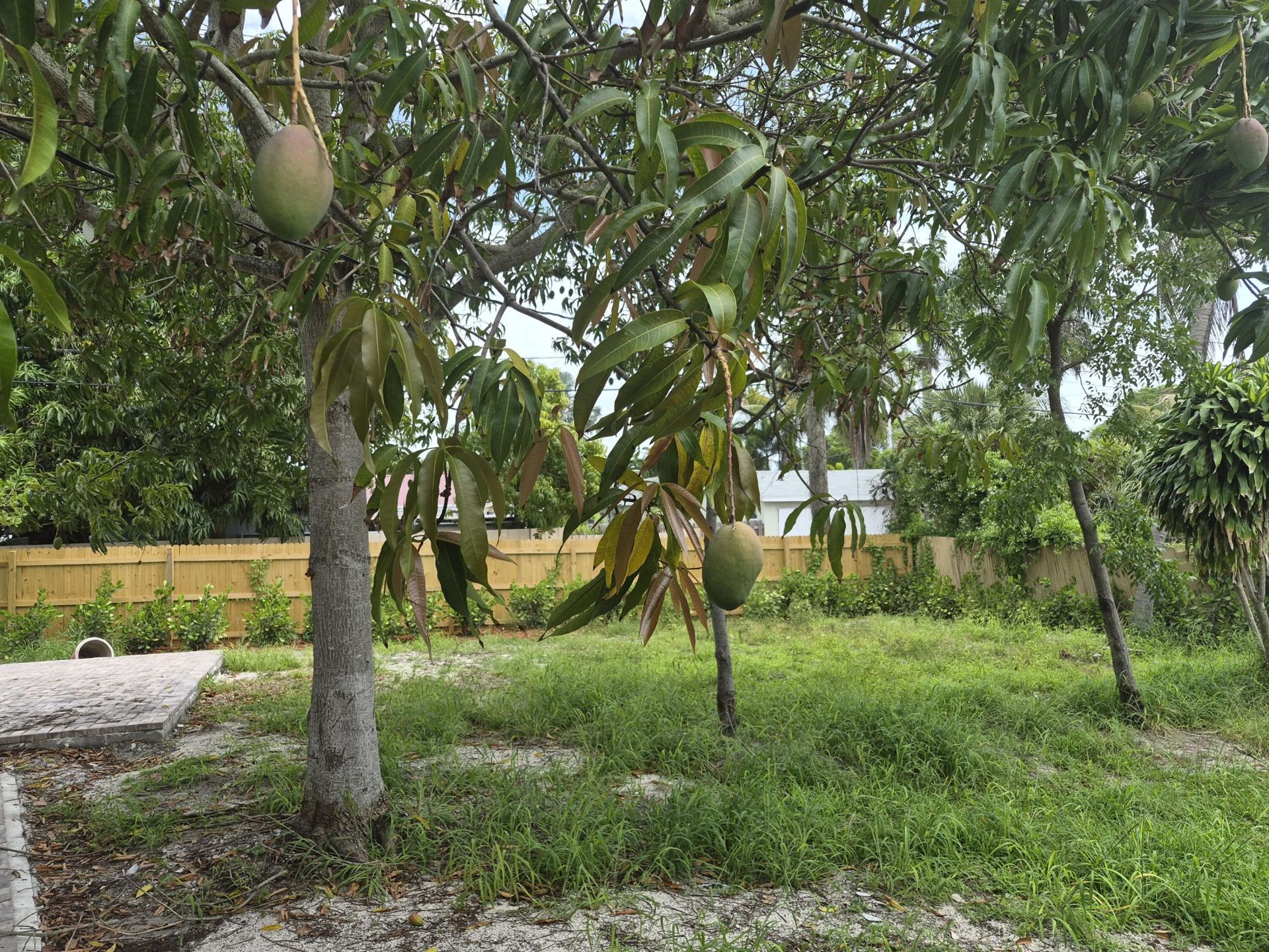 707 Hampton Road, West Palm Beach, FL 33405 Photo