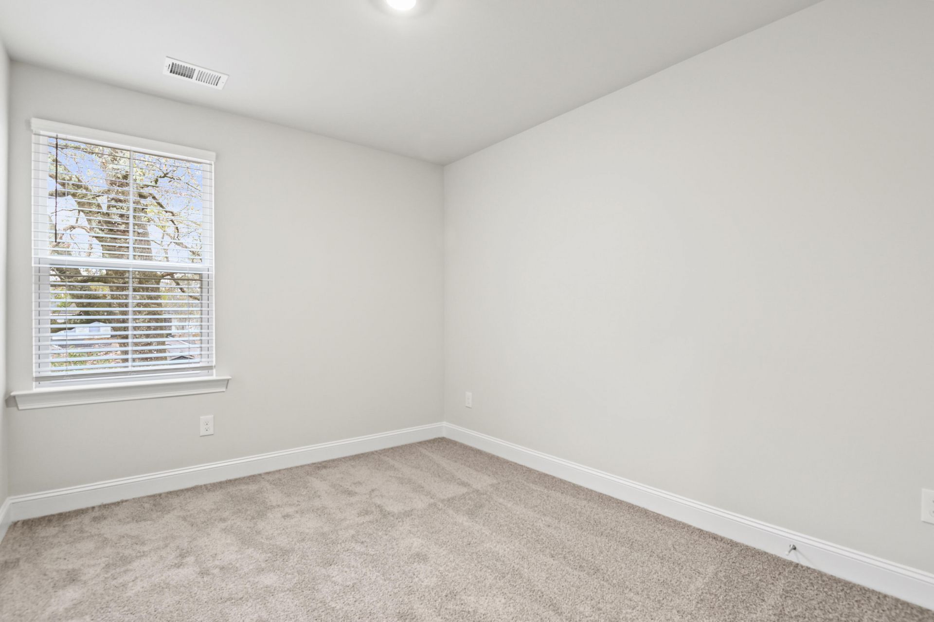101 Langley Drive Photo 20