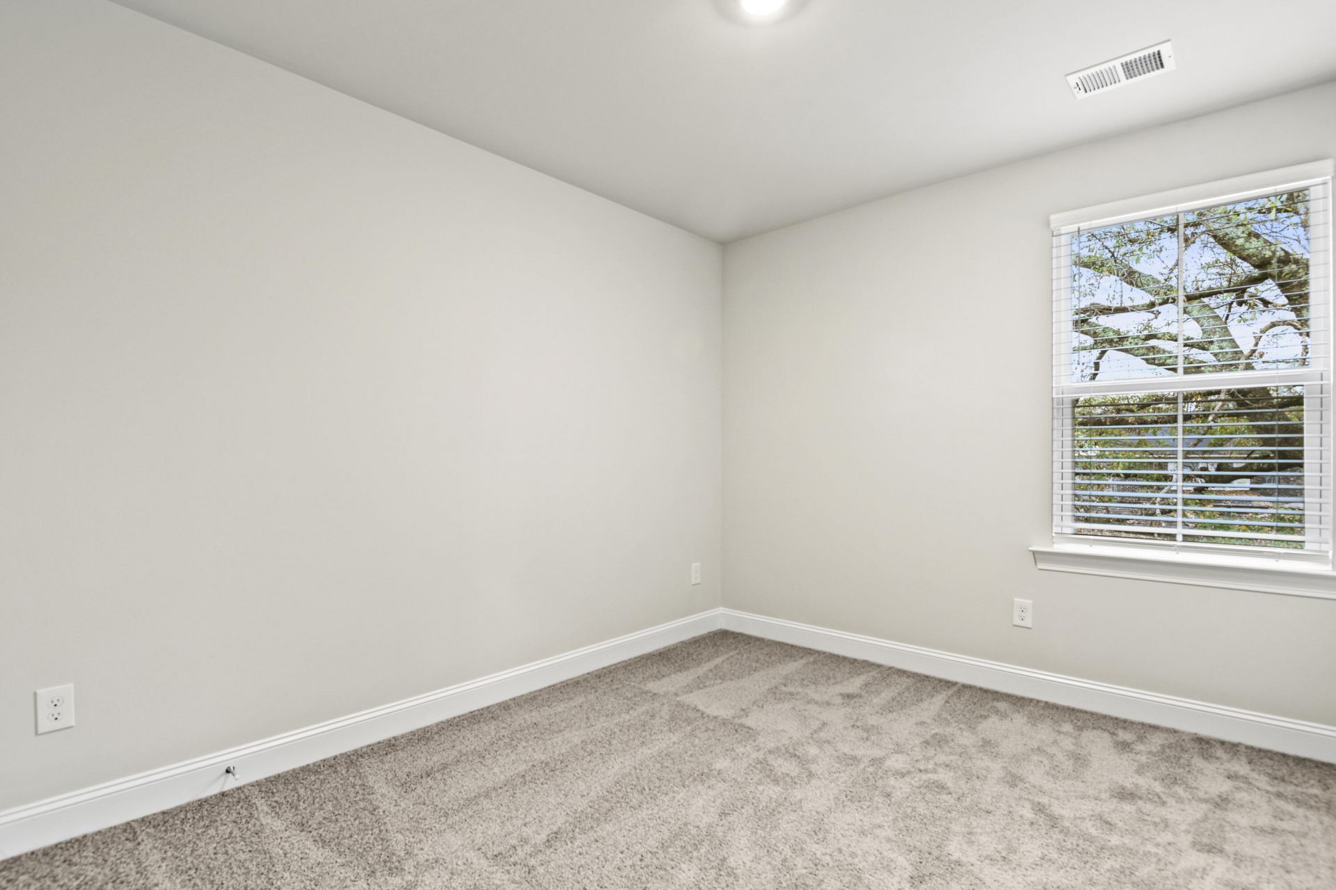 101 Langley Drive Photo 22