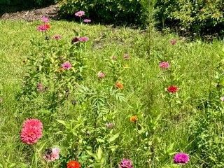 51 White Pelican Lane, Sebastian, FL 32958 Photo