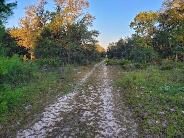 NE 61ST LANE , WILLISTON, FL 32696