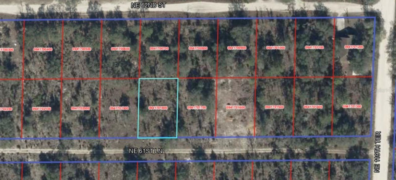 Ne 61st Lane, Williston, FL 32696 Photo