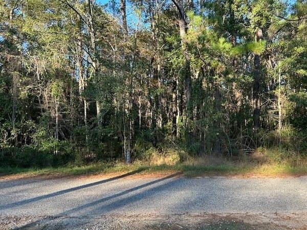 0 Bayou Drive , Bayou La Batre, AL 36509