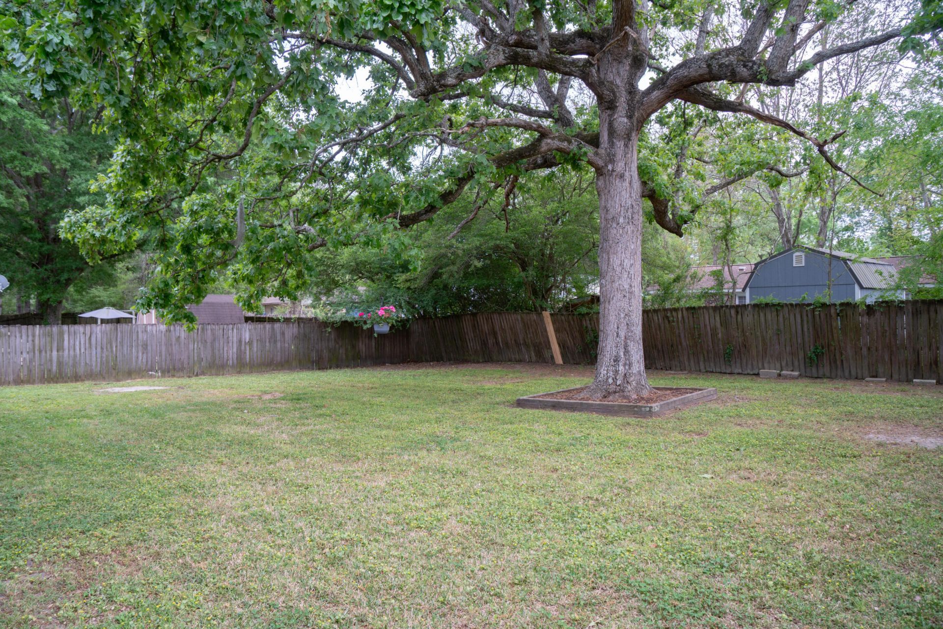 334 Water Oak Photo 4