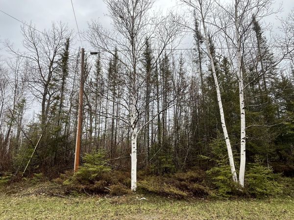 Lot 170 Timberway Drive, Presque Isle, MI 49777