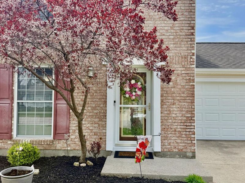 313 Cottonwood Street, Wapakoneta, OH 45895 Photo 2