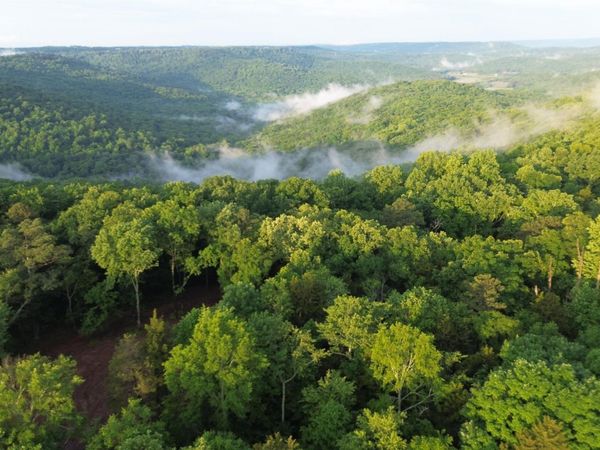 18 Paramount Drive, Grant, AL 35747