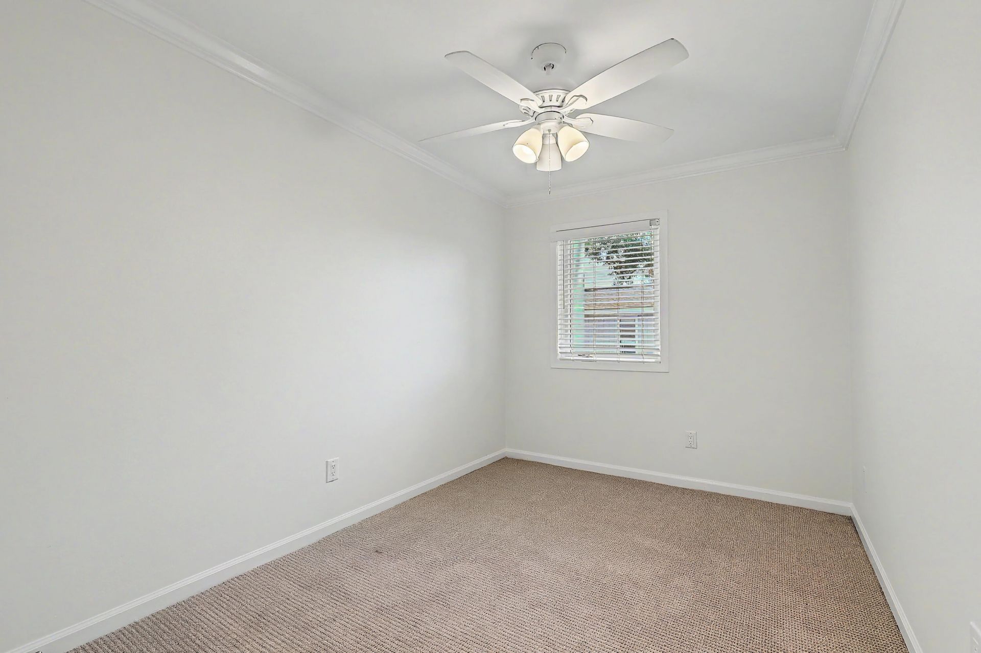958 Myrtle Court Photo 21