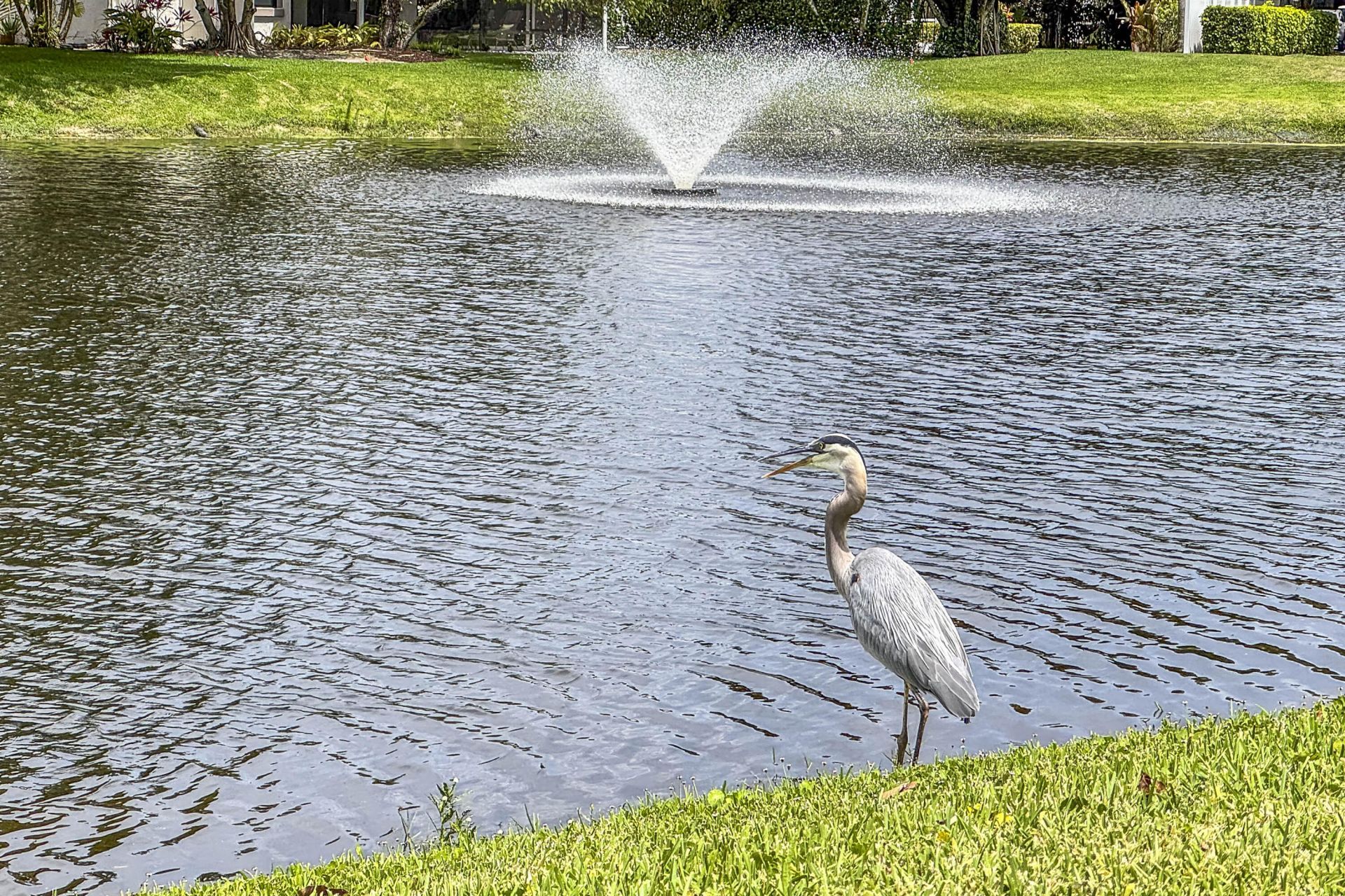 12871 Briarlake Drive, Unit 103, West Palm Beach, FL 33418 Photo