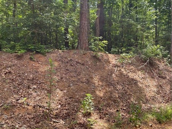 00 Mitchell Drive, Vance, AL 35490