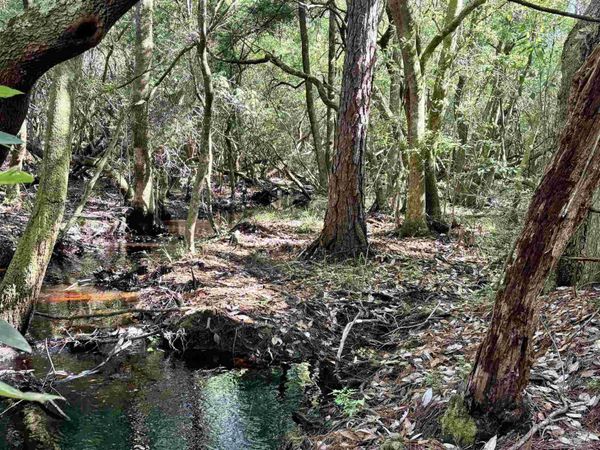 4753 Henry Wilson Creek Dri, Milton, FL 32583